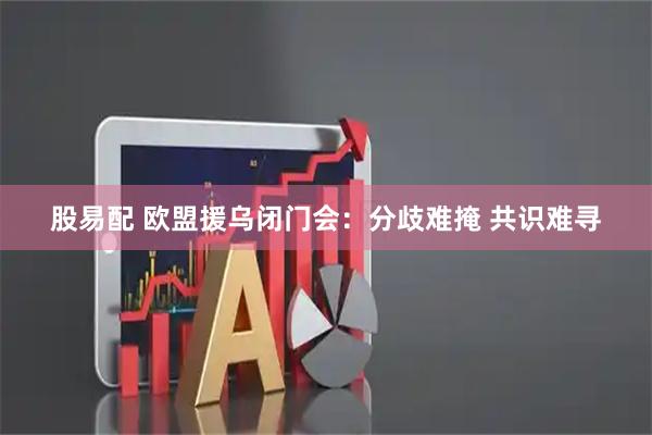 股易配 欧盟援乌闭门会：分歧难掩 共识难寻