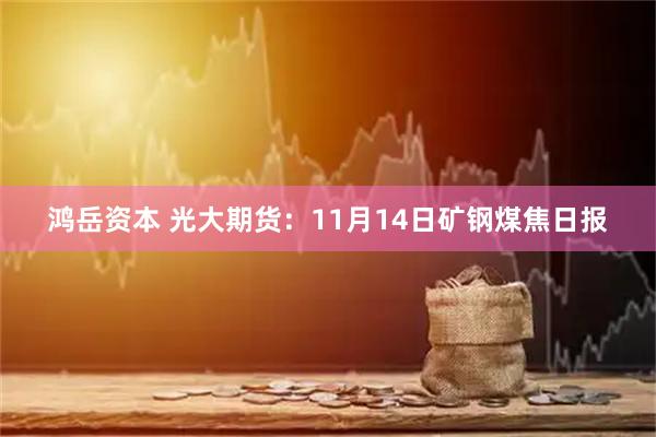 鸿岳资本 光大期货：11月14日矿钢煤焦日报