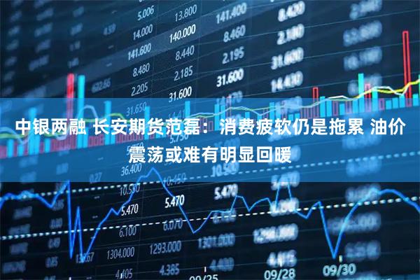 中银两融 长安期货范磊：消费疲软仍是拖累 油价震荡或难有明显回暖